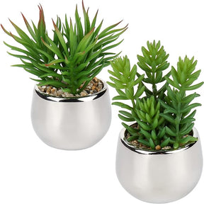 Artificial Silver Pot Plant - Sab Kharedo